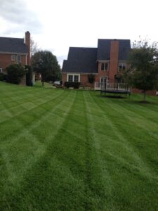 Lawn Care Services Knoxville TN